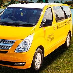 Minivan taxi transfer